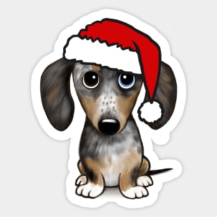 Dapple Dachshund with Santa Hat Merle Wiener Dog Christmas Sticker